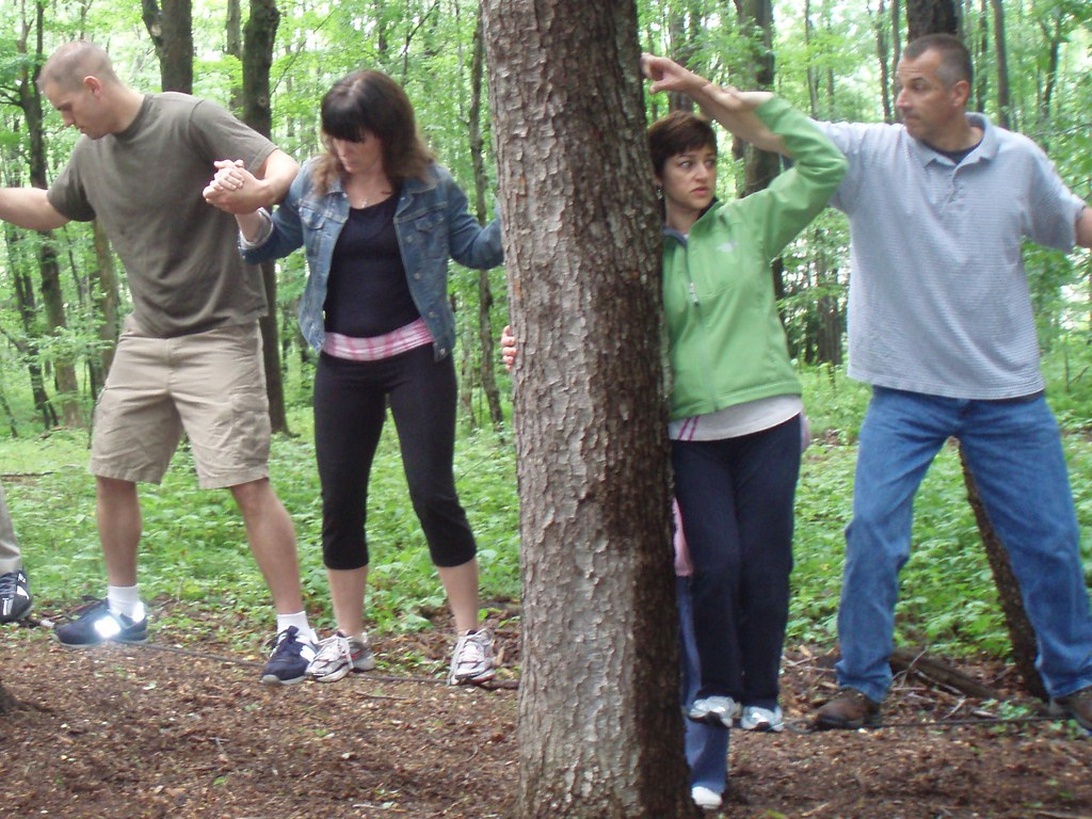 En grupp medarbetare som deltar i en teambuilding-övning i en skogsmiljö, där de samarbetar runt ett träd genom att hålla händer.
